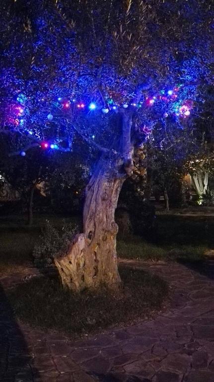 Al Vecchio Pozzo Daire Campobello di Licata Dış mekan fotoğraf
