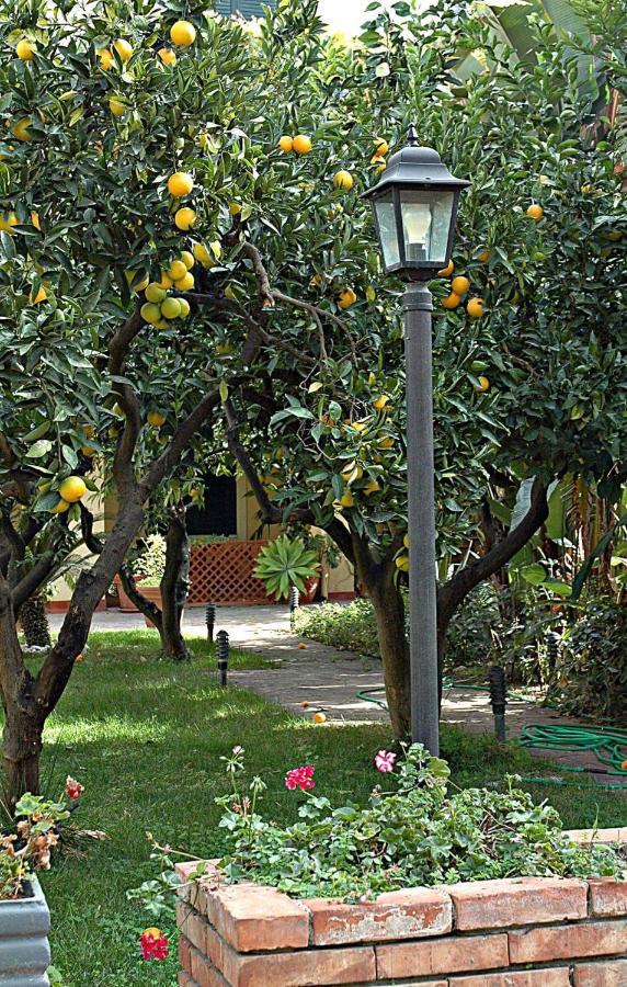 Al Vecchio Pozzo Daire Campobello di Licata Dış mekan fotoğraf